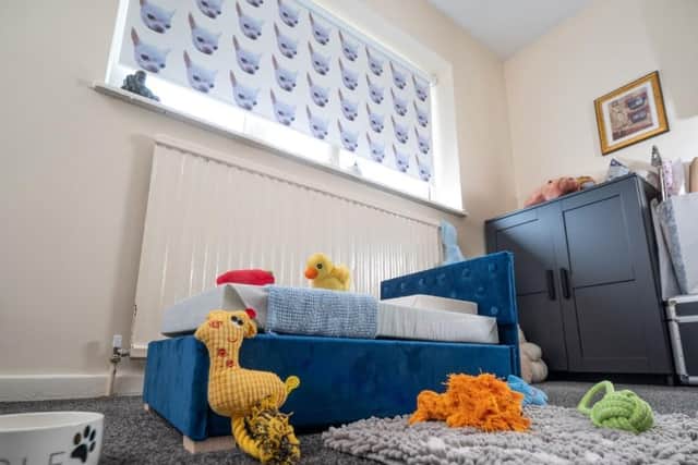 Jon said: “I love Wolf like he is my child, so giving him his own bedroom was something I’ve always wanted to do. Wolf is a huge diva so making the room all about him was a complete must - he just loves taking centre stage!
