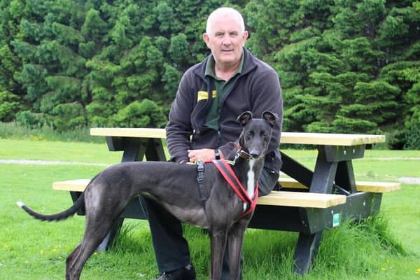 Greyhound Pippa is hoping it won't be long before she is heading off for walks with her new owners  She's pictured at Dogs Trust Leeds with Canine Carer Dave Cooper.