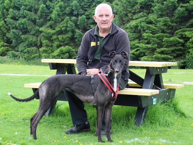 Greyhound Pippa is hoping it won't be long before she is heading off for walks with her new owners  She's pictured at Dogs Trust Leeds with Canine Carer Dave Cooper.