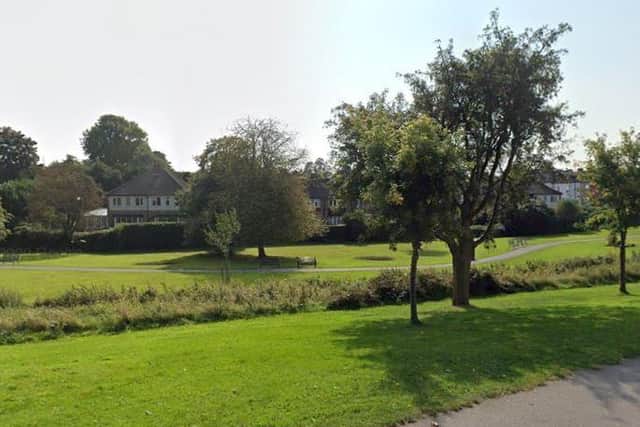 The incident happened near the beck in Springhead Park.