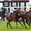 Gis A Sub, ridden by Tom Eaves, wins the £20,000 British Stallion Studs EBF Spindrifter Conditions Stakes at Pontefract. Picture: Alan Wright