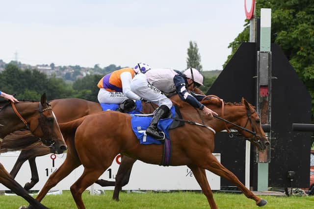 Vanitas gets ahead in a close finish to win at Pontefract. Picture: Alan Wright