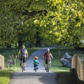 Nostell is launching a fun creative competition inviting people to help bring alive its many treasured spaces. Pictured is the Woodlands and Trails world at Nostell.