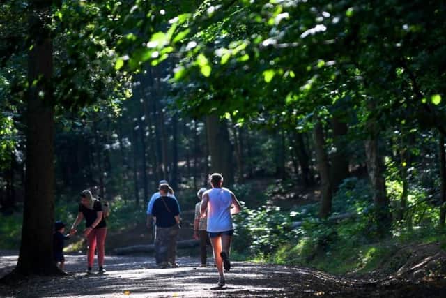 Newmillerdam is a hit with dog walkers on Tripadvisor.