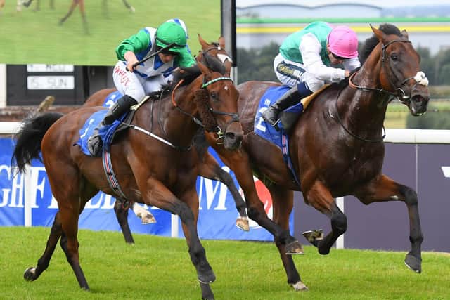 Duty Of Care, ridden by Kevin Stott, gets up in a close finish to win the William Hill Pick Your Places Handicap at Pontefract. Picture: Alan Wright