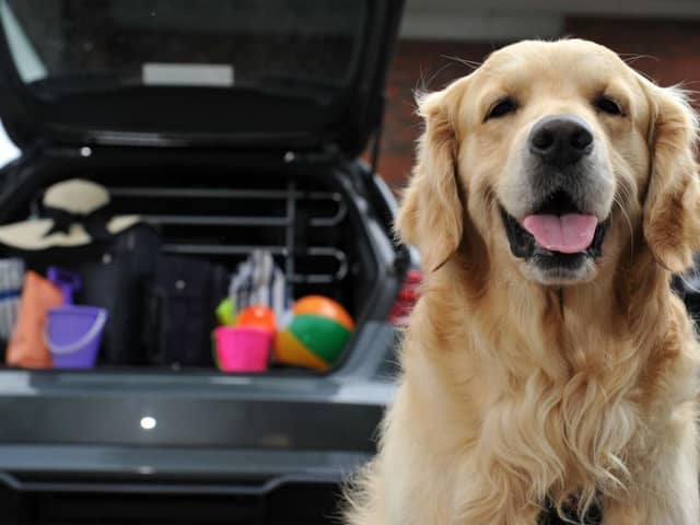New research has revealed 79 per cent admit their dog isn’t always secured when they travel with them in the car, meaning that they are more likely to distract the driver and are at risk of serious injury in the event of an accident.