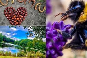 Bright colours and nature were on the minds of Wakefield’s photographers this week, as they set out to enjoy the great outdoors.