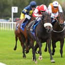 Aleezdancer, ridden by Kevin Stott, drives clear to win the Napoleons Casino Bradford Nursery Handicap at Pontefract. Picture: Alan Wright