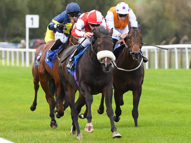 Aleezdancer, ridden by Kevin Stott, drives clear to win the Napoleons Casino Bradford Nursery Handicap at Pontefract. Picture: Alan Wright