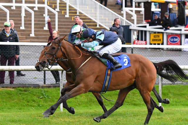 Indefatigable, ridden by Ben Curtis, gets up to win the Injured Jockeys Fund Maiden Stakes at Pontefract. Picture: Alan Wright