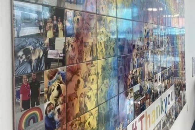 Digital Ceramics Custom Tiles collaborated with The Mid Yorkshire Hospitals NHS Trust to create the custom made mural, made up of 1000 ceramic tiles.