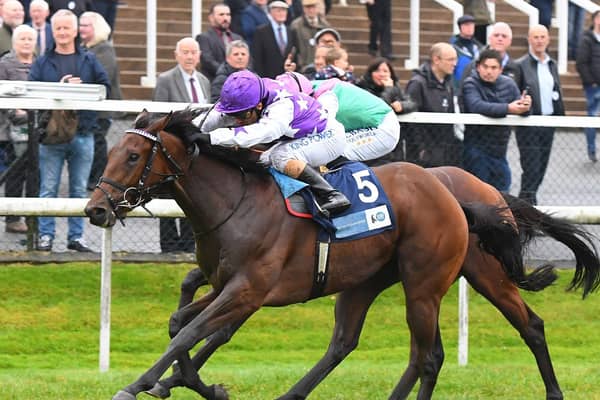 Mr Professor gamely holds on to win the Listed British Stallion Studs EBF Silver Tankard Stakes at Pontefract from the odds-on favourite Westover. Picture: Alan Wright