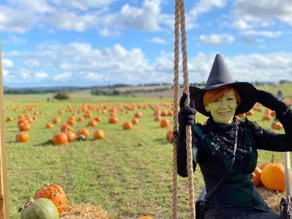 The Not-so-Wicked Witch of the West at the Farmer Copleys Pumpkin Festival