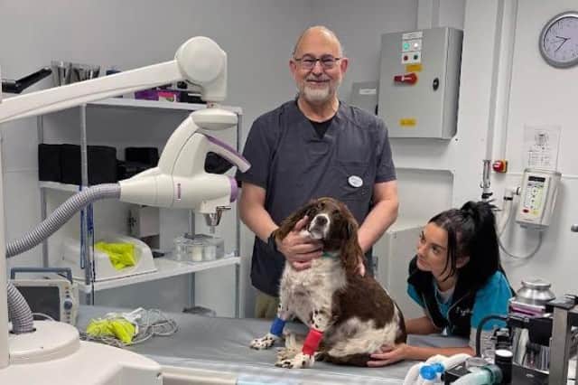 Smudge, the first patient to undergo treatment with the new Xtrahl 100 superficial
radiotherapy system at Paragon Veterinary Referrals, under the watchful eye of oncology specialist Dr Rodney Ayl and RVN Dani White.