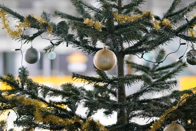 Christmas Tree collection service to raise New Year cash for Wakefield Hospice