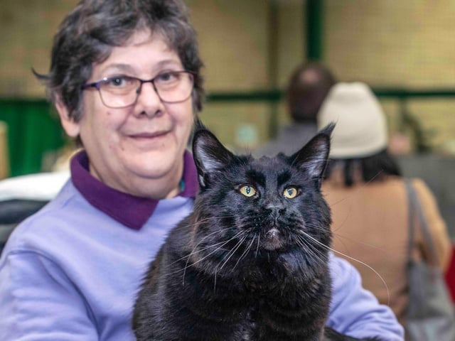 Northampton cat show helps to raise money for pets caught in Ukraine. Photo: Kirsty Edmonds.