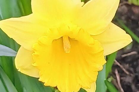 Spring in Thornes Park, taken by Pam Peach