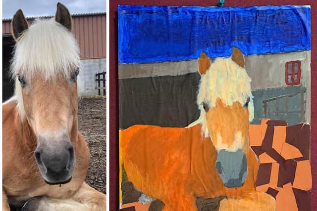 An NHS group who uses RDA Wakefield painted a portrait of Zach in memory of the horse.