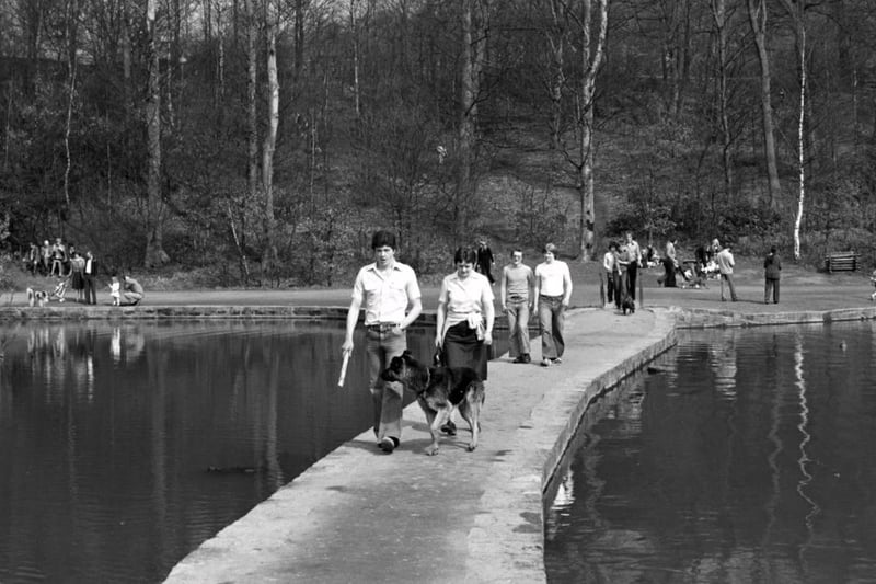 A scenic walk around Newmillerdam in April 1980.