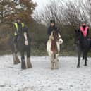 The British Horse Society (BHS) says riders could be put in danger by 'glare'  from hundreds of solar panels if they are installed on greenbelt land in Wakefield.