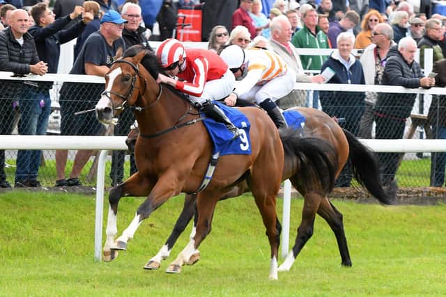 Laser Guided is guided home for victory by jockey Oisin Orr. Picture: Alan Wright