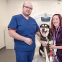 Skye with owner Storm and Chantry Vets’ senior vet Fraser Reddick