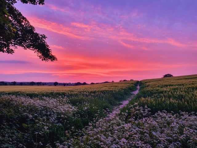 The fields of Wintersett, captured by Sue Billcliffe.