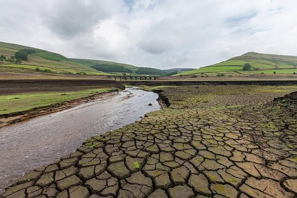 'Use less water': Environment Agency declares drought status in Yorkshire