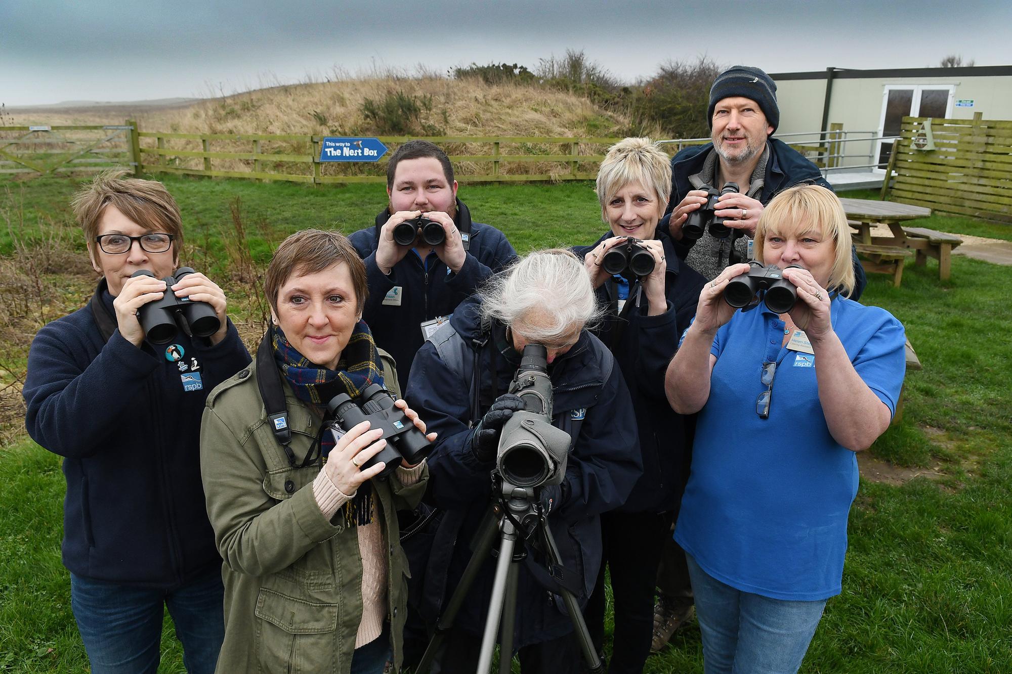 Download your free RSPB guide and take part in the BIg Garden Birdwatch ...