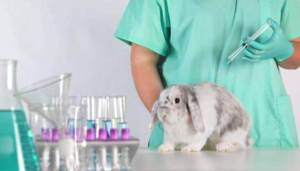 The government announced an immediate licensing ban on the use of animals for testing chemicals used exclusively as cosmetic ingredients following backlash.