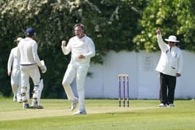 Harry Clewett celebrates as the umpire's finger goes up to signify Ossett have lost a wicket. Picture: Scott Merrylees