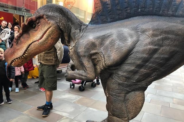 Roaming Spinosaurus, Spike posed for photos with his handlers.