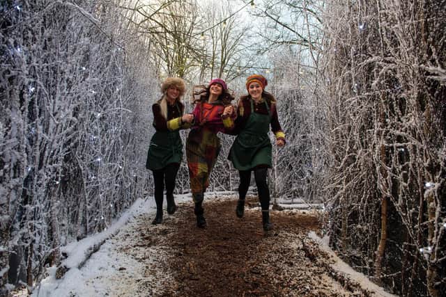 Set in the stunning Lotherton estate just outside of Leeds, Lotherton lights up for Christmas
