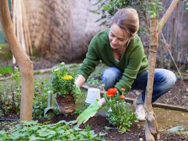 Here are ten top tips to improve your garden this spring.