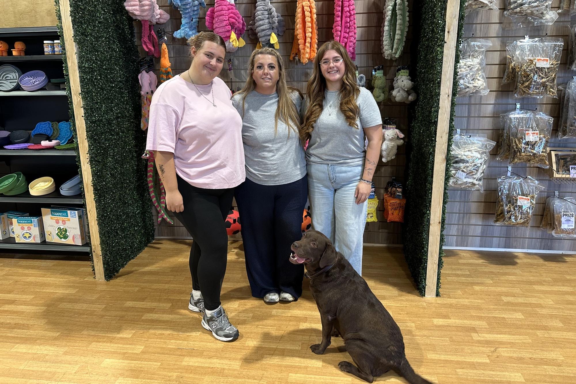 Tail-wagging fun: Brand new dog play centre and pet superstore opens its ...