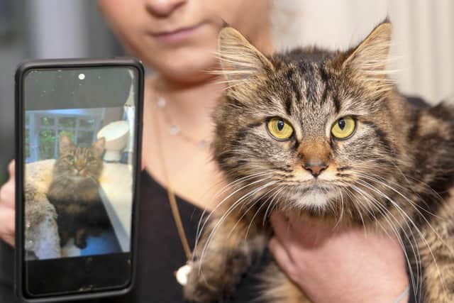 Phoebe and Imogen Kaye whose cat has gone missing have adopted a lookalike cat. Picture Scott Merrylees