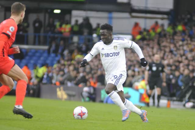 Willy Gnonto on the attack for Leeds United in an eye-catching appearance off the bench against Brighton.