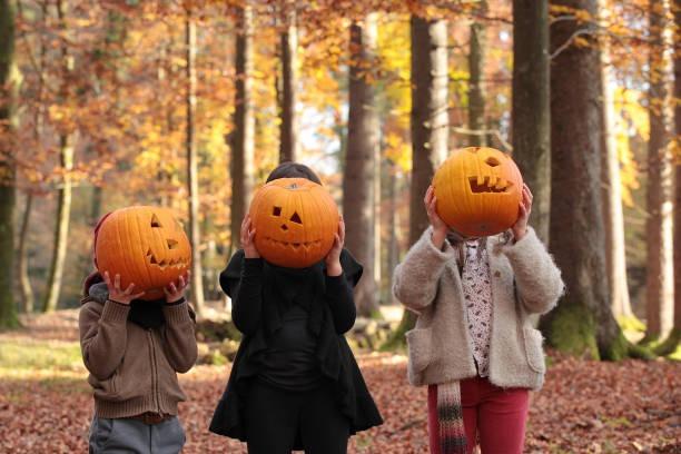 On November 1, the Spooktacular Markets will head to Pontefract with free activities including a Pumpkin Patch Trail around the Market and Pumpkin Colouring sessions.