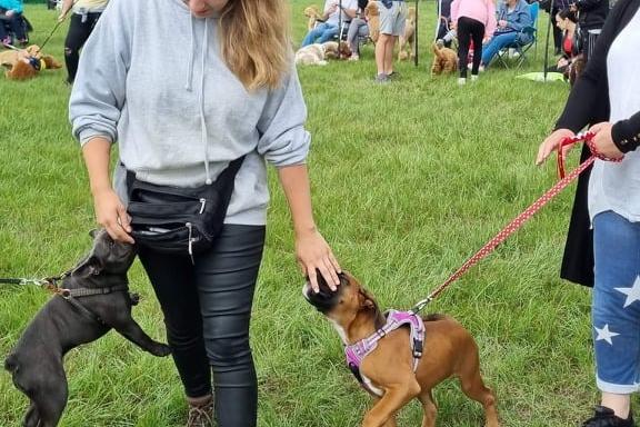 Dozens of dogs and their owners attended the charity event.