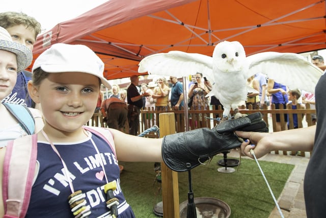 Here is Lana Atkins (7) with a barn owl from the 2015 festival.