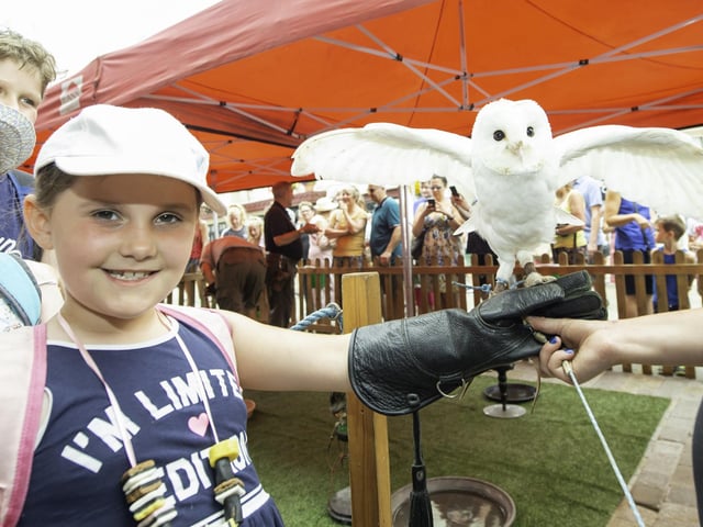 Here is Lana Atkins (7) with a barn owl from the 2015 festival.