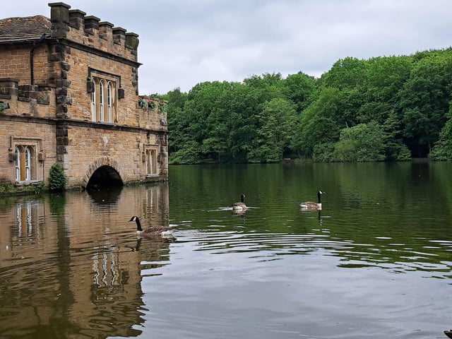 Donna Louise Johnson shared a photo of the scenic views at Newmillerdam Country Park.
