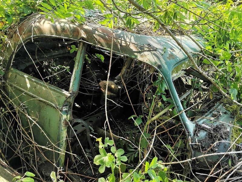 The cars have since been long forgotten about.