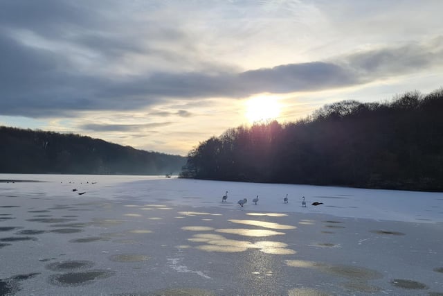 Newmillerdam Country Park, Wakefield looked beautiful as the sun rose over its icy lake.
