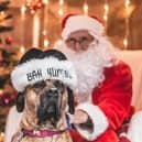 A grotto for dogs to come and have their picture taken with Santa Paws is returning to Hemsworth.