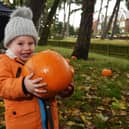 Here are some of the top places go to pumpkin picking across West Yorkshire in the run-up to Halloween.