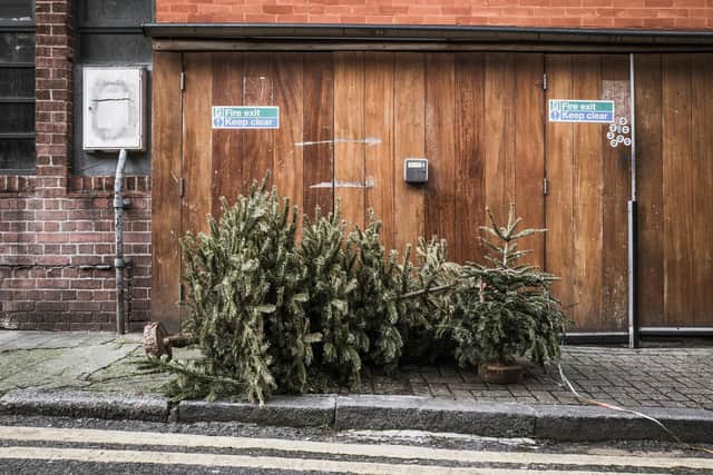 Wakefield Hospice and the Prince of Wales Hospice are offering Christmas tree collection services. Photo by Gareth Cattermole/Getty Images