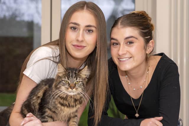 Phoebe and Imogen Kaye whose cat has gone missing have adopted a lookalike cat. Picture Scott Merrylees