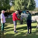 Patients enjoy special horse visit at The Prince of Wales Hospice.