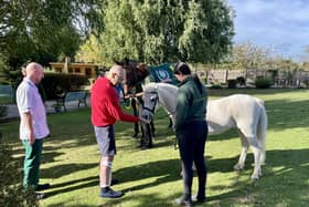 Patients enjoy special horse visit at The Prince of Wales Hospice.